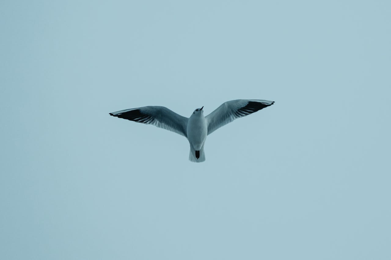 Mindset en jouw route naar succes en geluk